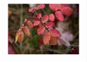 101112_9785 Keweenaw Fall Colors